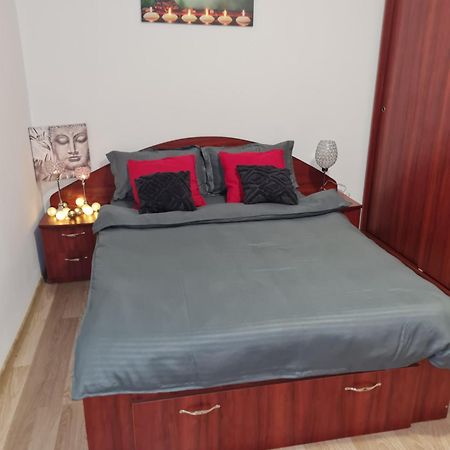 Apartmán Ambient Cismigiu Bukurešť Exteriér fotografie