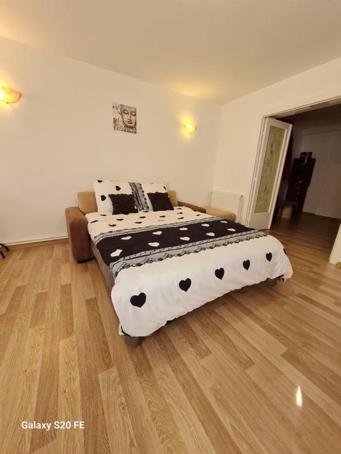 Apartmán Ambient Cismigiu Bukurešť Exteriér fotografie